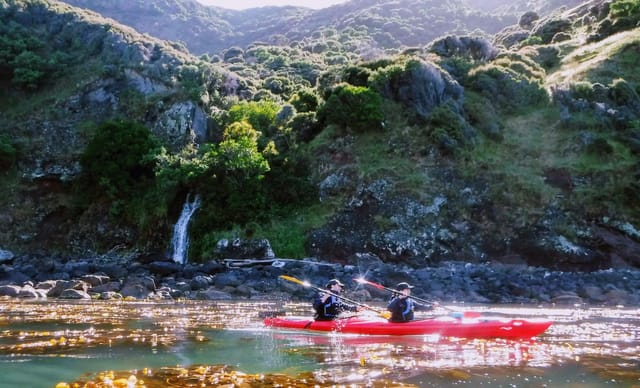 akaroa-guided-kayaks-small-group-tour_1